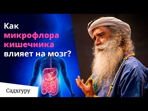 Видео: Как здоровье кишечника влияет на здоровье мозга? | Беседа Садхгуру и доктора Эмерана Майера