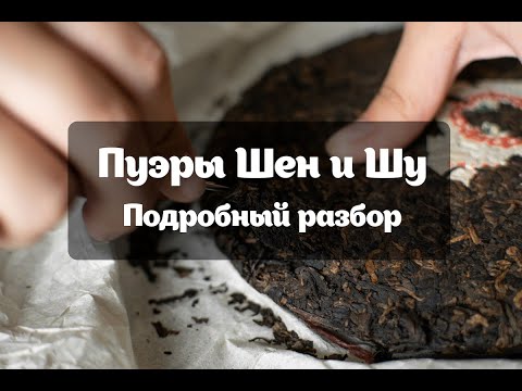 Видео: В чем отличие темных и светлых пуэров