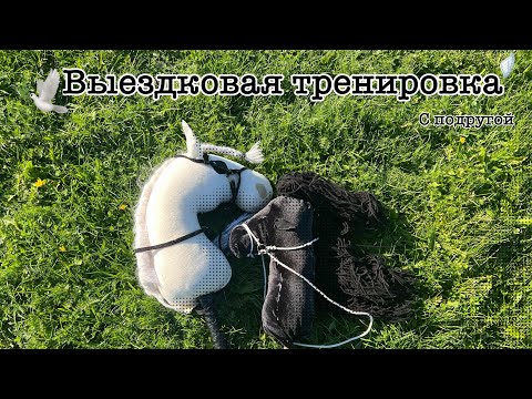 Видео: 🕊️выездковая тренеровка с подругой // хоббихорсинг (чит. описание!!)