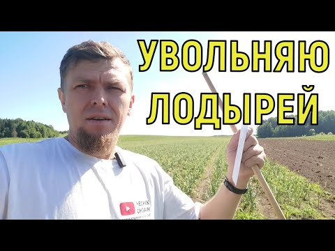 Видео: СИСТЕМА ВЫЯВЛЕНИЯ НЕЭФФЕКТИВНЫХ СОТРУДНИКОВ