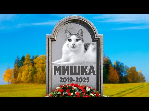 Видео: Сделали коту Мишке красивый памятник / SANI vlog