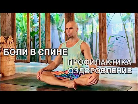 Видео: Профилактика и избавление от болей в спине.