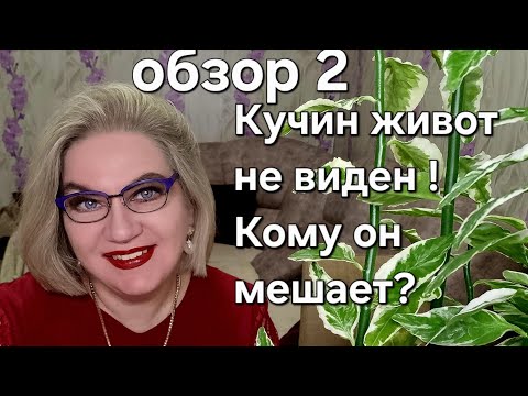 Видео: Кучин ЖИВОТ не виден❗️Кому он мешает❓️