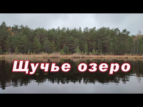 Видео: ЩУЧЬЕ ОЗЕРО на котором сказали КЛЮЁТ Щука! Щуку нашли только на меляке!