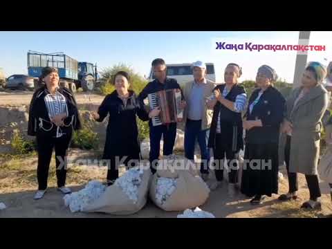Видео: Гулхатийша Айымбетова - Пахтакешлер менен бирге #каракалпакстан #нукус #2023 #каракалпак #нукуссити