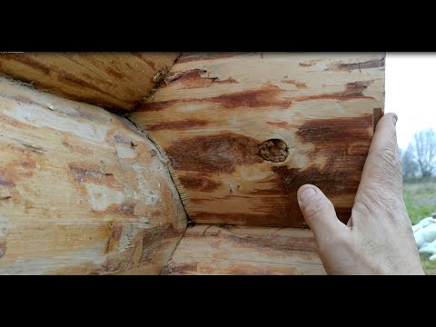 Видео: ПРАВИЛЬНАЯ рубка сруба без щелей. Рубим сруб из бревна ручной рубки без щелей топором и теслом.