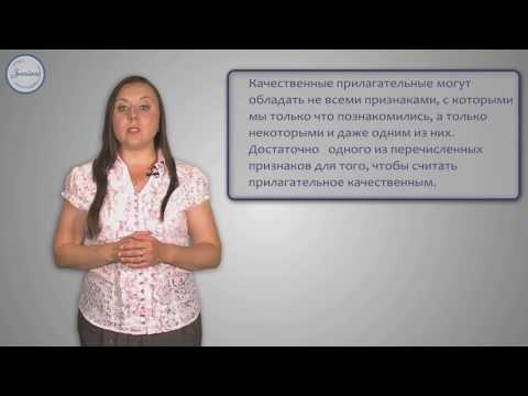 Видео: Русский язык 5 класс. Имена прилагательные: качественные,  относительные, притяжательные.