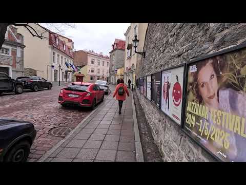 Видео: Переехать в Эстонию - плохая идея