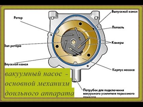 Видео: Ремонт вакуумного насоса доильного аппарата,его возможные неисправности. Нет давления вакуумирования