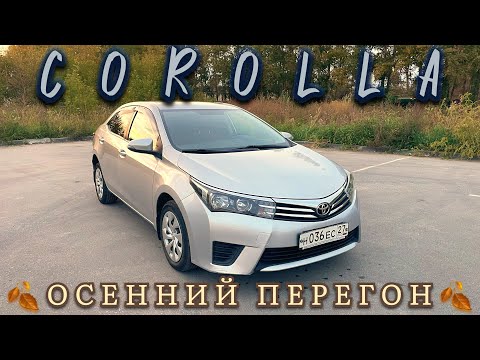 Видео: Осенний перегон Хабаровск-Новосибирск на TOYOTA COROLLA. #управляймечтой #toyotacorolla #перегон