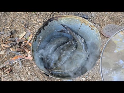 Видео: ЯЗИ ПЕРЕРОСТКИ, ПОЛЕВОЕ КОПЧЕНИЕ, РАЗМИНКА НА ЩУК.