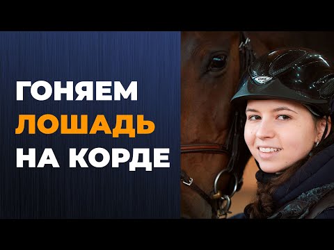 Видео: Работа с лошадью на корде / Способы крепления корды / Приспособления для работы на корде