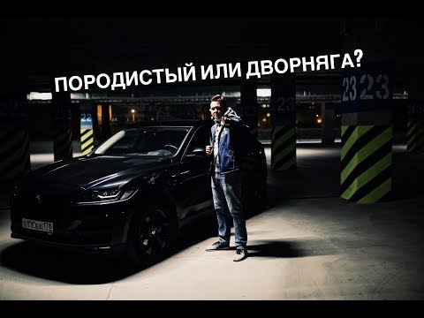 Видео: ЯГУАР КОТОРЫЙ РАЗОЧАРОВАЛ | JAGUAR F-PACE