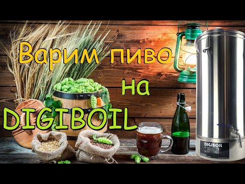 Видео: Домашнее пиво от зерна до кружки. Digiboil 35