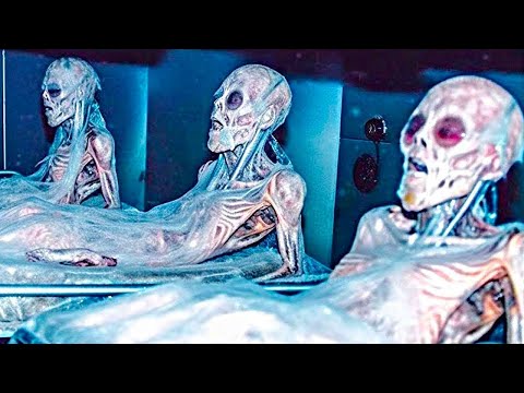 Видео: КАК это ВОЗМОЖНО!? Ученые Обнаружили в Этой Пещере То, Что НИКТО не Должен Был Увидеть!