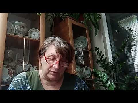 Видео: Разбор сказки "Ослиная шкура".