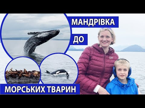 Видео: Ванкувер. Зустріч з китами та косатками