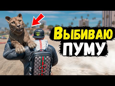 Видео: ОТКАЗАЛСЯ ОТ ПРОКАЧЕННОЙ СВИНЬИ РАДИ ПУМЫ! ЭТО УГАР! GTA 5 RP MURRIETA
