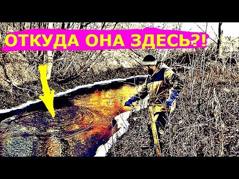Видео: ПОИСКОВЫЙ МАГНИТ! ОТКУДА ОНО ЗДЕСЬ?!!