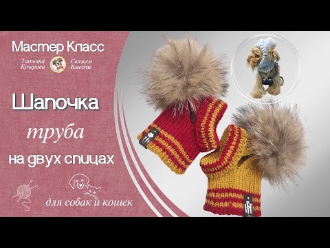 Видео: Шапочка труба для собаки, Dog hat DIY