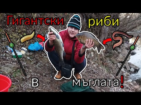 Видео: ТРУДЕН РИБОЛОВ на ОГРОМНИ РЕЧНИ КАРАКУДИ и КЕФАЛИ в МЪГЛАТА! FISHING for GIANT CRUCIANS and CHUBS!