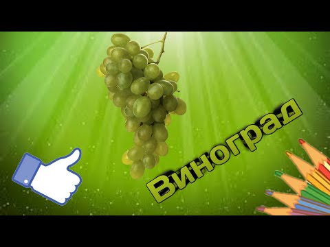 Видео: РИСУЕМ ВИНОГРАД//РИСУЕМ СКАЗКИ #урокирисования
