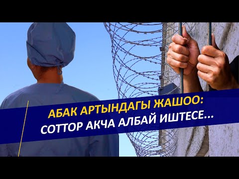 Видео: Абакта эң көп айтылган сөз "эгер"