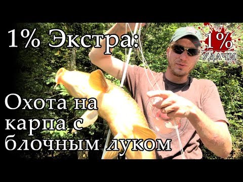 Видео: 1% Экстра: Охота с блочным луком на карпа с берега или боуфишинг
