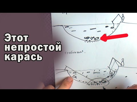 Видео: Загадочный карась. Открываем тайну карася вместе! (И прошу ваши наблюдения, опыт и примеры поведения