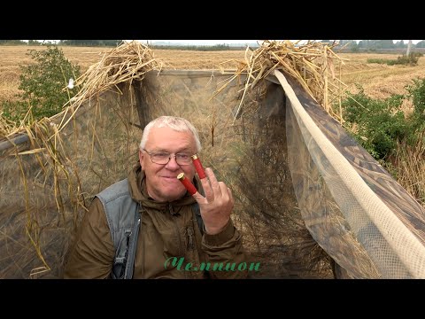 Видео: Охота на вяхиря #8 \ Четыре с боку - ваших нет