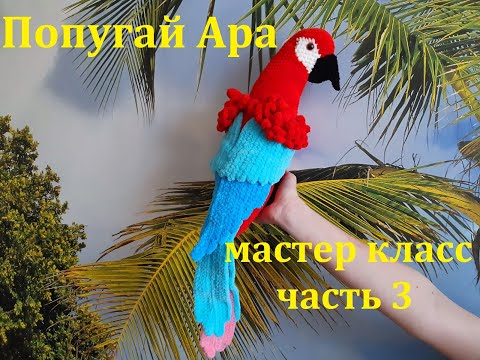 Видео: ПОПУГАЙ АРА КРЮЧКОМ, ВЯЗАННЫЙ ПОПУГАЙ, МАСТЕР КЛАСС, ЧАСТЬ 3