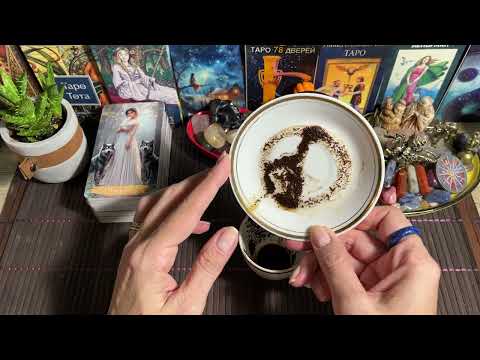Видео: Чашка дня‼️