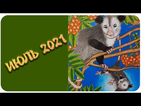 Видео: Раскрашено в июле 2021 /Что я раскрасила за июль