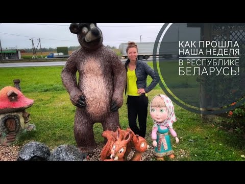 Видео: Сумасшедшая неделя нашей безумной семейки.. 🤭🤭