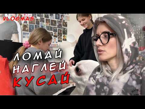 Видео: Последний день школы. Страх Киры, злая Вика и наказание собак.