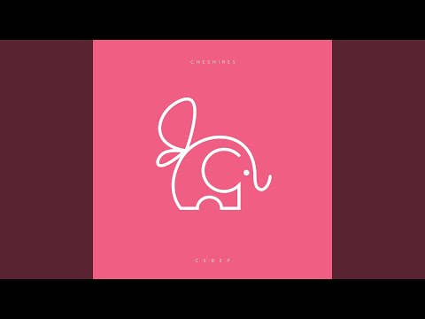 Видео: Север