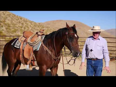 Видео: Переход на западный бит