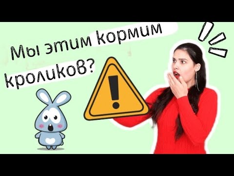Видео: Чем кормить декоративного кролика? Какой корм лучше для декоративного кролика?