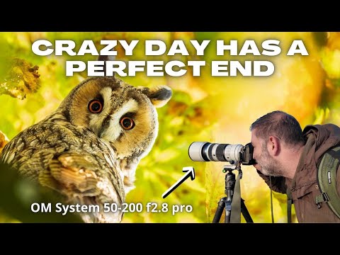 Видео: Фотосъёмка природы — просто на высоте! OM-1 MKII и 50-200 F2.8