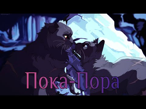 Видео: ЗАКАЗ Коты Воители Щербатая и Пепелица: Пока-пора [Bahtoma]