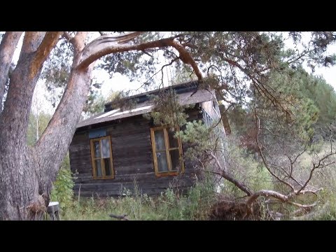 Видео: Юрьянский-Оричевский район, 1ч, бывший пионерский лагерь, сейчас б/о Пагинка