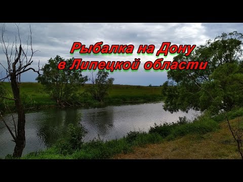 Видео: Фидерная рыбалка на Дону в Липецкой области (рыбец, плотва и подлещик)