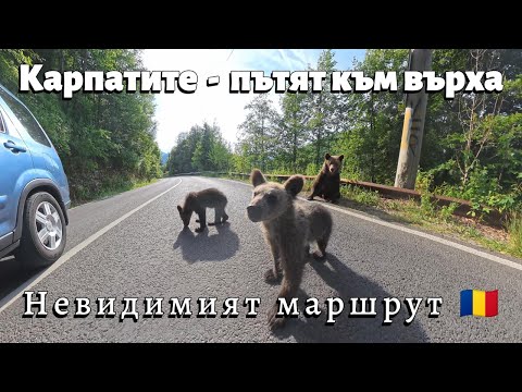 Видео: Карпатите в мъгла и вятър – пътят към вр. Молдовяну 2544м. | Moldoveanu Peak Adventure,  част 1