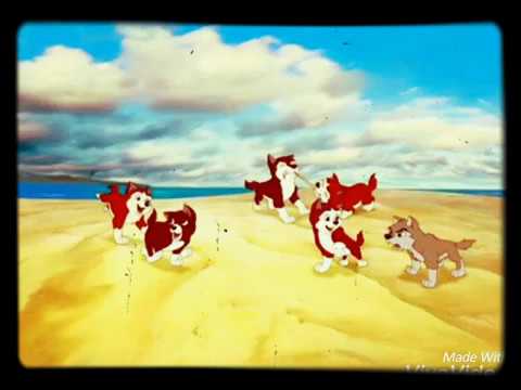 Видео: Балто и его сын