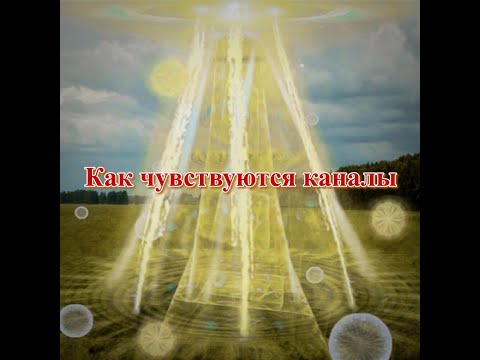 Видео: Как чувствовать каналы
