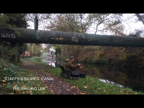 Видео: 🎣 Ловля окуня на канале Стаффордшир-Вустершир с отличной рыбой на берегу