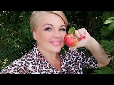 Видео: ВЛОГ.  Это было словно вчера...🙂❤️