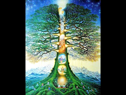 Видео: Рескриптинг родовых сценариев