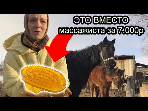 Видео: ЭТОТ массаж для лошади может себе позволить КАЖДЫЙ || Тест белой перчаткой