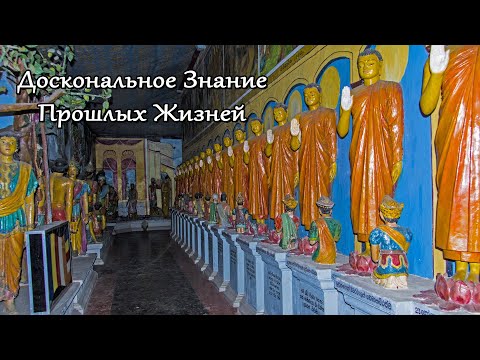 Видео: Доскональное Знание Прошлых Жизней